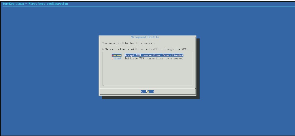 选 Server